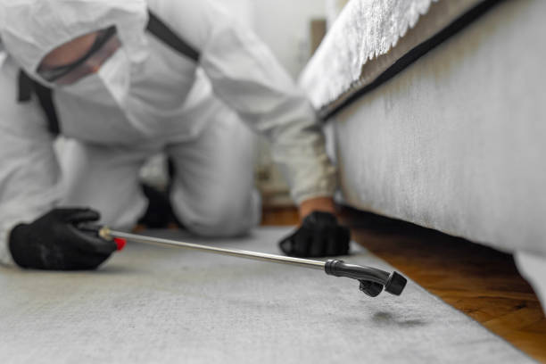Professional Mosquito Control technician working in Augusta, WI