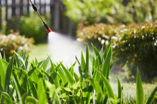 24/7 Emergency Mosquito Control experts in Augusta, WI